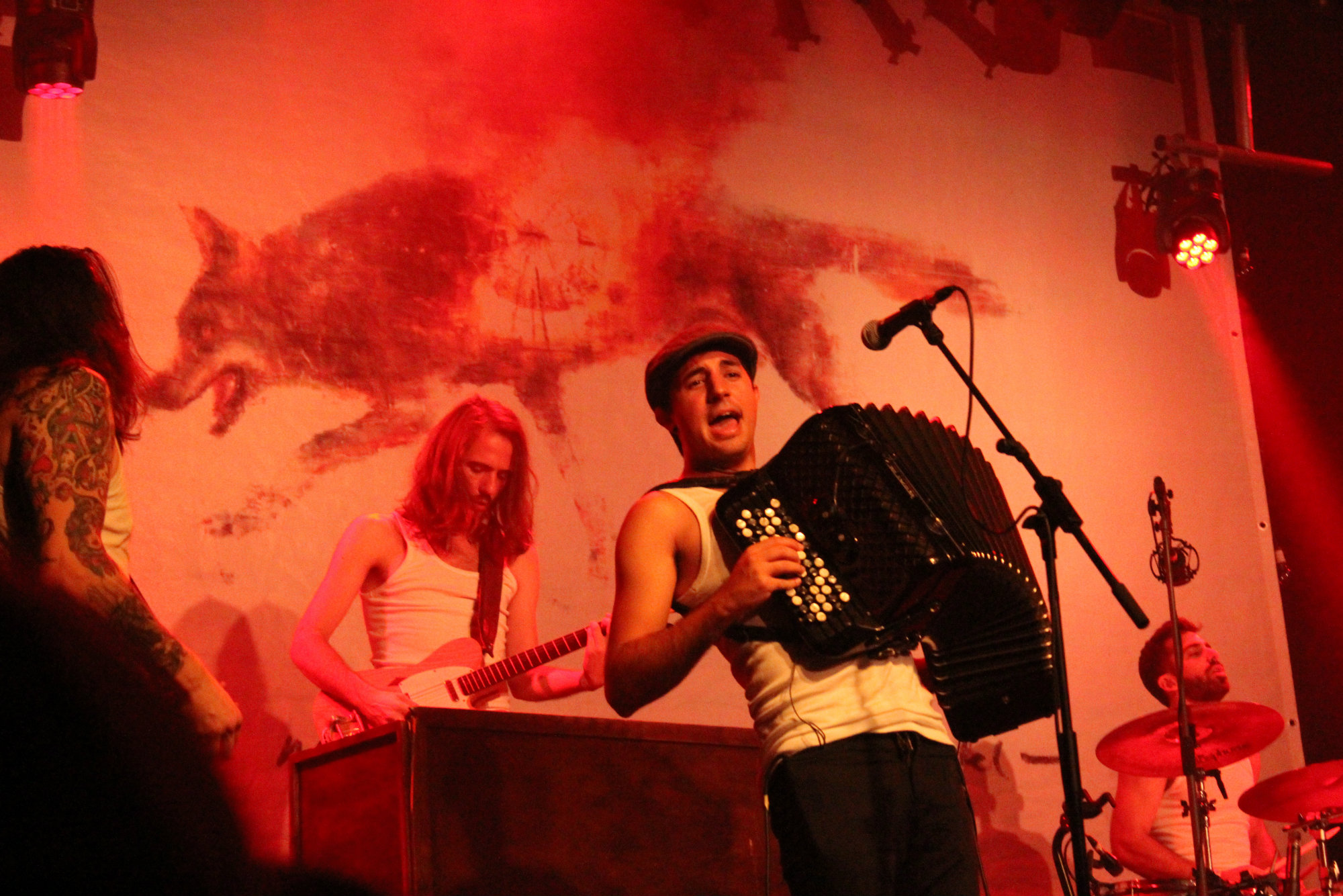 la-moda-salamandra-2