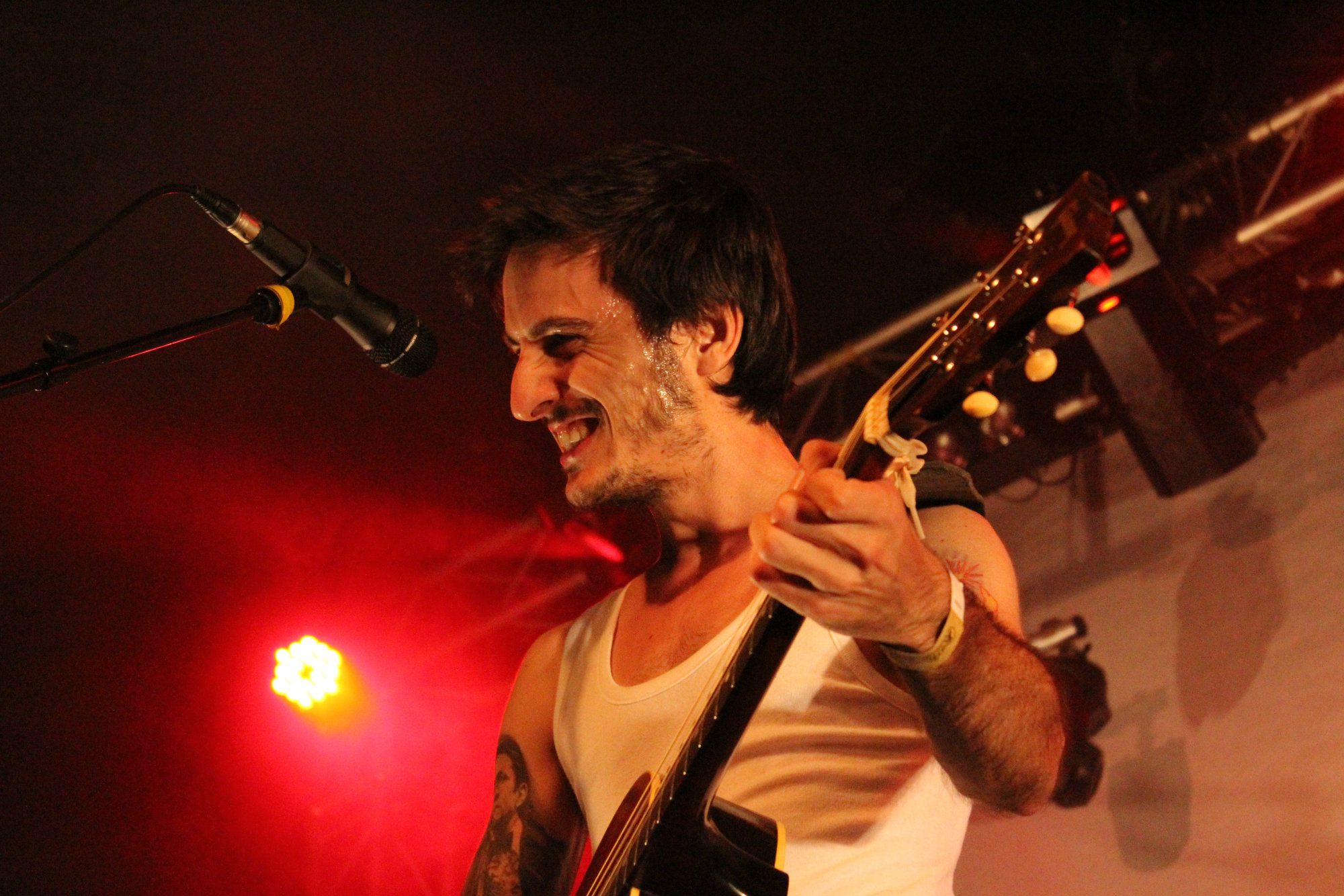 la-moda-salamandra-3