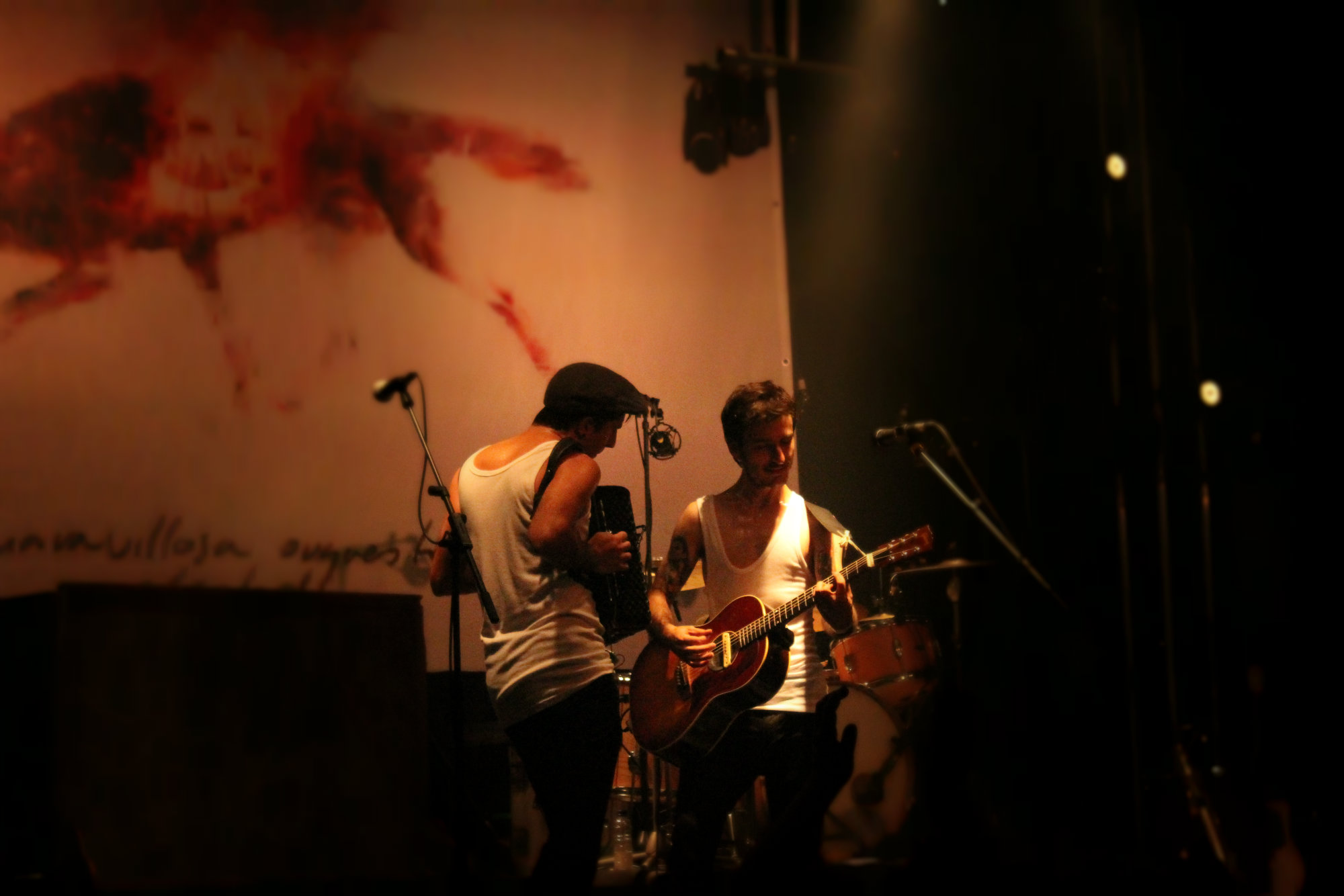 la-moda-salamandra-5